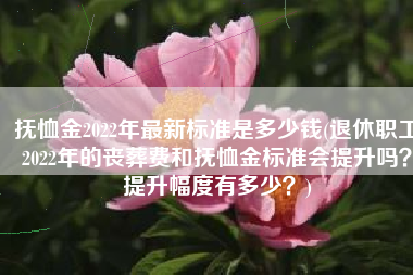 抚恤金2022年最新标准是多少钱(退休职工2022年的丧葬费和抚恤金标准会提升吗？提升幅度有多少？)