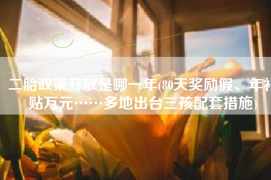 二胎政策开放是哪一年(80天奖励假、年补贴万元……多地出台三孩配套措施)