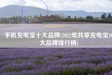 手机充电宝十大品牌(2022年共享充电宝10大品牌排行榜)