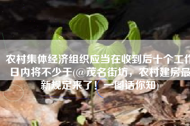 农村集体经济组织应当在收到后十个工作日内将不少于(@茂名街坊，农村建房最新规定来了！一图话你知)