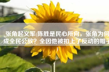 张角起义军(陈胜是民心所向，张角为何成全民公敌？全因他被扣上了反动的帽子)