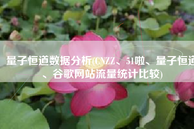 量子恒道数据分析(CNZZ、51啦、量子恒道、谷歌网站流量统计比较)