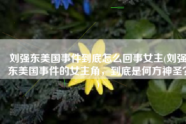 刘强东美国事件到底怎么回事女主(刘强东美国事件的女主角，到底是何方神圣？)