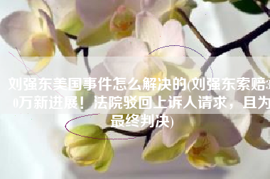刘强东美国事件怎么解决的(刘强东索赔300万新进展！法院驳回上诉人请求，且为最终判决)