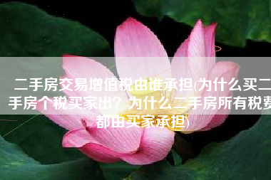 二手房交易增值税由谁承担(为什么买二手房个税买家出？为什么二手房所有税费都由买家承担)