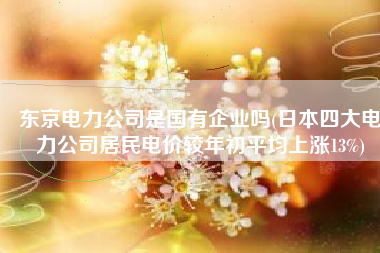 东京电力公司是国有企业吗(日本四大电力公司居民电价较年初平均上涨13%)