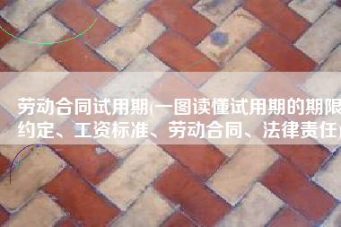 劳动合同试用期(一图读懂试用期的期限约定、工资标准、劳动合同、法律责任)
