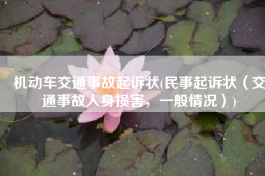 机动车交通事故起诉状(民事起诉状（交通事故人身损害，一般情况）)