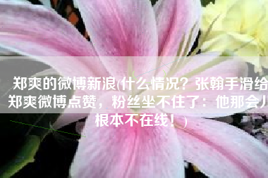 郑爽的微博新浪(什么情况？张翰手滑给郑爽微博点赞，粉丝坐不住了：他那会儿根本不在线！)