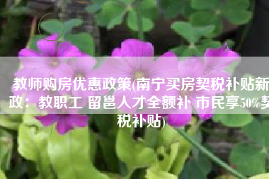 教师购房优惠政策(南宁买房契税补贴新政：教职工 留邕人才全额补 市民享50%契税补贴)