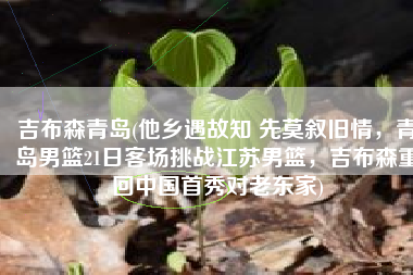 吉布森青岛(他乡遇故知 先莫叙旧情，青岛男篮21日客场挑战江苏男篮，吉布森重回中国首秀对老东家)