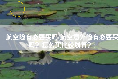 航空险有必要买吗(航空意外险有必要买吗？怎么买比较划算？)