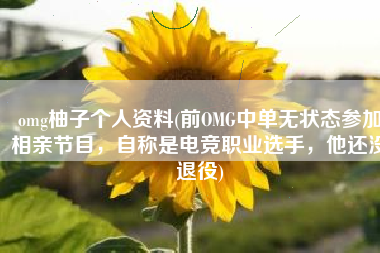 omg柚子个人资料(前OMG中单无状态参加相亲节目，自称是电竞职业选手，他还没退役)