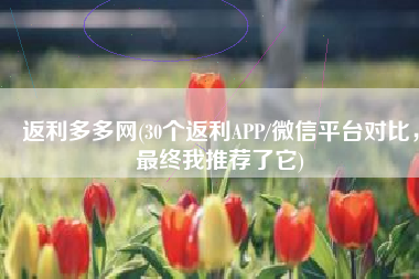 返利多多网(30个返利APP/微信平台对比，最终我推荐了它)