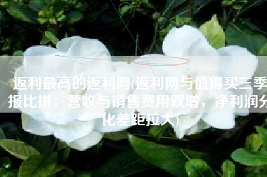 返利最高的返利网(返利网与值得买三季报比拼：营收与销售费用双增，净利润分化差距拉大)
