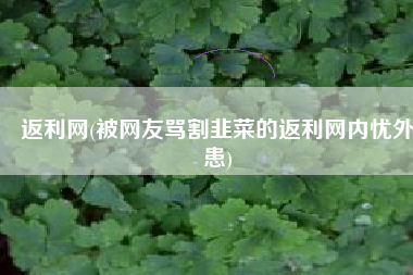 返利网(被网友骂割韭菜的返利网内忧外患)