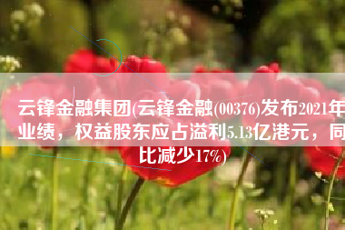 云锋金融集团(云锋金融(00376)发布2021年业绩，权益股东应占溢利5.13亿港元，同比减少17%)