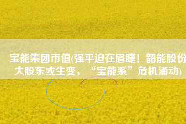 宝能集团市值(强平迫在眉睫！韶能股份大股东或生变，“宝能系”危机涌动)