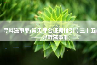 寻衅滋事罪(常见罪名证据指引（三十五）——寻衅滋事罪)