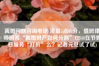 离婚问题咨询电话(凌晨5点05分，值班律师回答“离婚财产如何分割”12348在节假日服务“打折”么？记者元旦试了试)