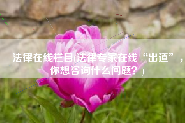 法律在线栏目(法律专家在线“出道”，你想咨询什么问题？)