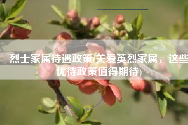 烈士家属待遇政策(关爱英烈家属，这些优待政策值得期待)