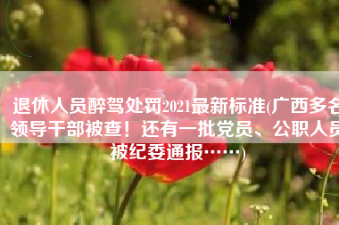 退休人员醉驾处罚2021最新标准(广西多名领导干部被查！还有一批党员、公职人员被纪委通报……)