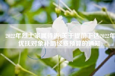 2022年烈士家属待遇(关于提前下达2022年优抚对象补助经费预算的通知)