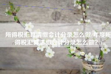 所得税汇算清缴会计分录怎么做(年度所得税汇算清缴会计分录怎么做？)