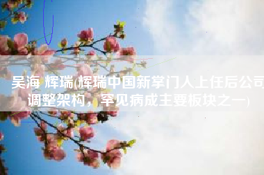 吴海 辉瑞(辉瑞中国新掌门人上任后公司调整架构，罕见病成主要板块之一)