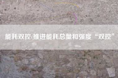 能耗双控(推进能耗总量和强度“双控”)