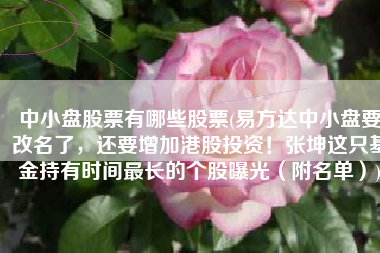 中小盘股票有哪些股票(易方达中小盘要改名了，还要增加港股投资！张坤这只基金持有时间最长的个股曝光（附名单）)