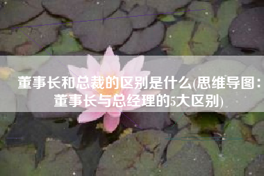 董事长和总裁的区别是什么(思维导图：董事长与总经理的5大区别)