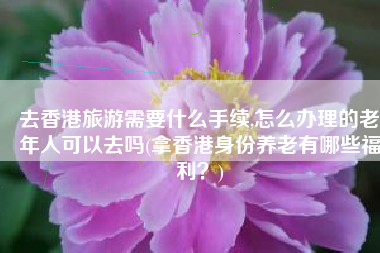 去香港旅游需要什么手续,怎么办理的老年人可以去吗(拿香港身份养老有哪些福利？)