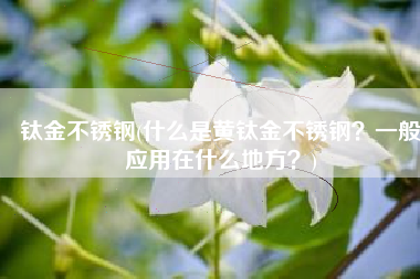 钛金不锈钢(什么是黄钛金不锈钢？一般应用在什么地方？)