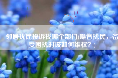 邻居扰民投诉找哪个部门(噪音扰民，备受困扰时该如何维权？)