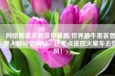网络黑客求职非你莫属(世界最牛黑客曾侵入国际空间站，还差点遥控火星车去兜风！)