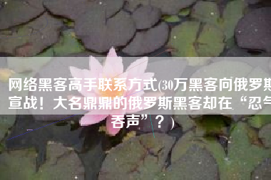 网络黑客高手联系方式(30万黑客向俄罗斯宣战！大名鼎鼎的俄罗斯黑客却在“忍气吞声”？)