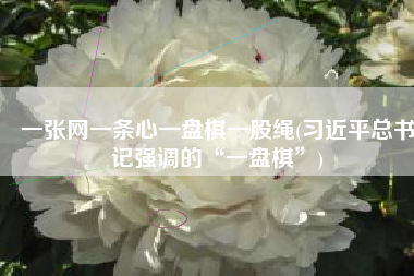 一张网一条心一盘棋一股绳(习近平总书记强调的“一盘棋”)