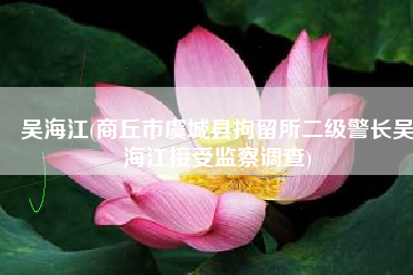 吴海江(商丘市虞城县拘留所二级警长吴海江接受监察调查)