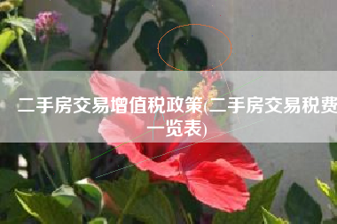二手房交易增值税政策(二手房交易税费一览表)