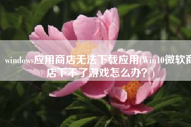 windows应用商店无法下载应用(Win10微软商店下不了游戏怎么办？)