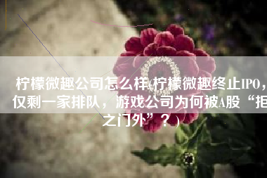 柠檬微趣公司怎么样(柠檬微趣终止IPO，仅剩一家排队，游戏公司为何被A股“拒之门外”？)