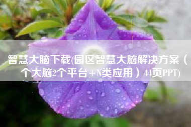 智慧大脑下载(园区智慧大脑解决方案（1个大脑2个平台+N类应用）44页PPT)
