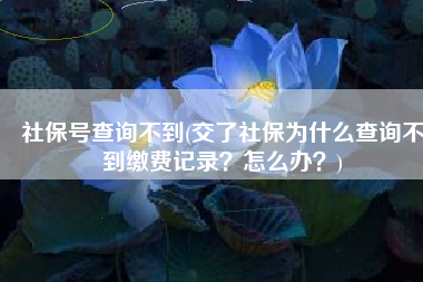 社保号查询不到(交了社保为什么查询不到缴费记录？怎么办？)