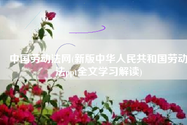 中国劳动法网(新版中华人民共和国劳动法ppt全文学习解读)