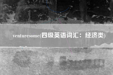 venturesome(四级英语词汇：经济类)
