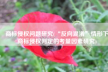 商标侵权问题研究(“反向混淆”情形下商标侵权判定的考量因素研究)