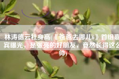 林涛德云社身高(《爸爸去哪儿6》首组嘉宾曝光，是张亮的好朋友，竟然长得这么帅)