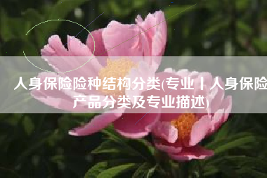 人身保险险种结构分类(专业丨人身保险产品分类及专业描述)